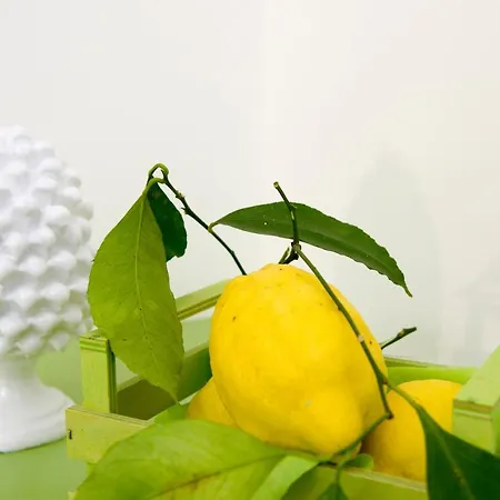 Maison San Paolo Πανσιόν